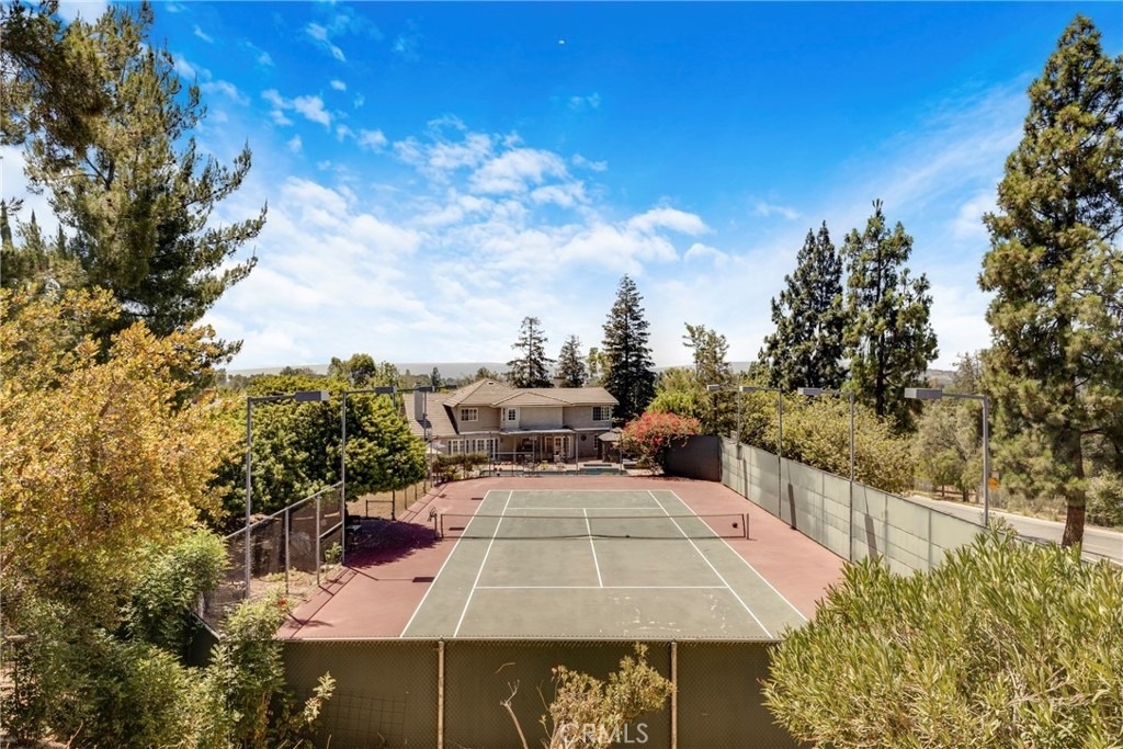 21335 Dove - Photo 36