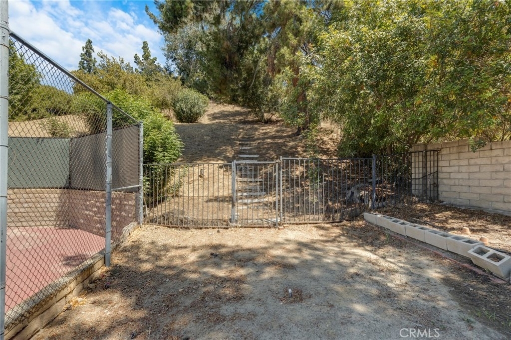 21335 Dove - Photo 35
