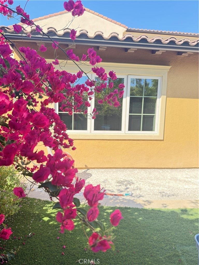 9 Maverick - Photo 24