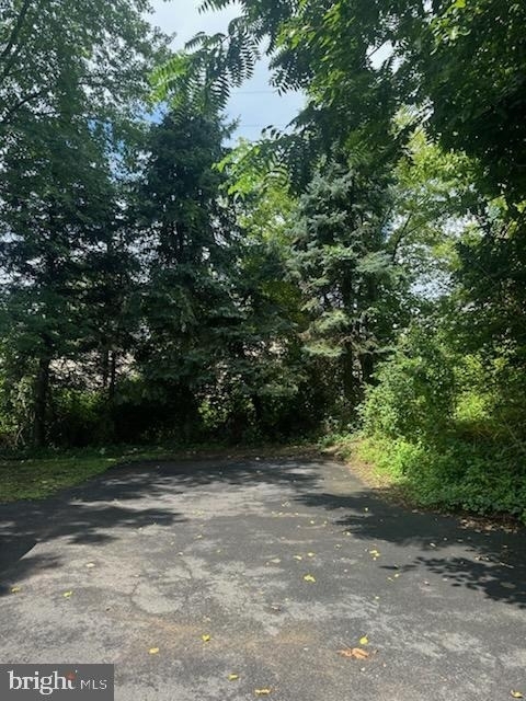 319 Runnymede Avenue - Photo 12