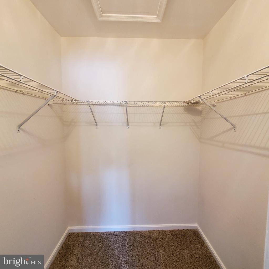 16211 Ellipse Terrace - Photo 12