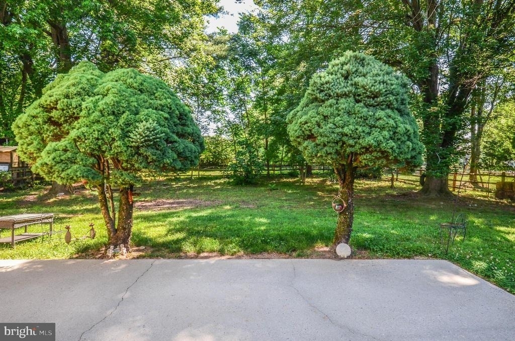 11309 Brandy Hall Lane - Photo 45
