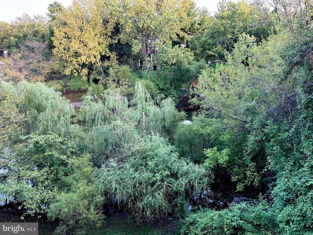 18207 Leman Lake Drive - Photo 12