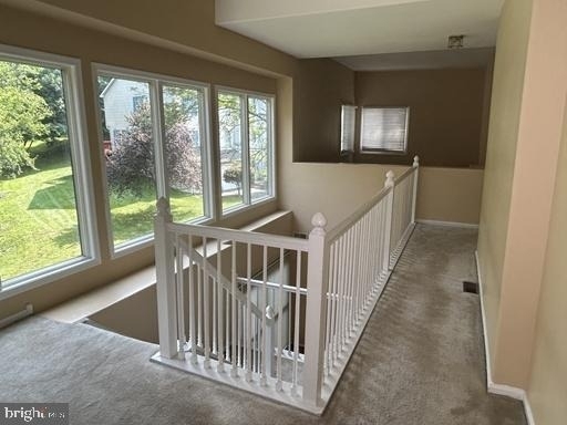 1117 Oakland Court - Photo 12