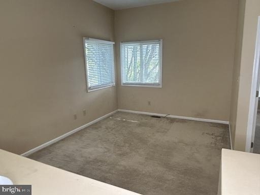 1117 Oakland Court - Photo 19