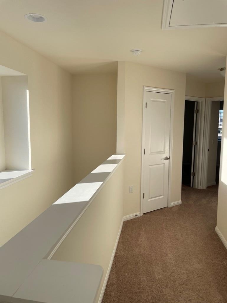 9610 Morning Iris Dr - Photo 28