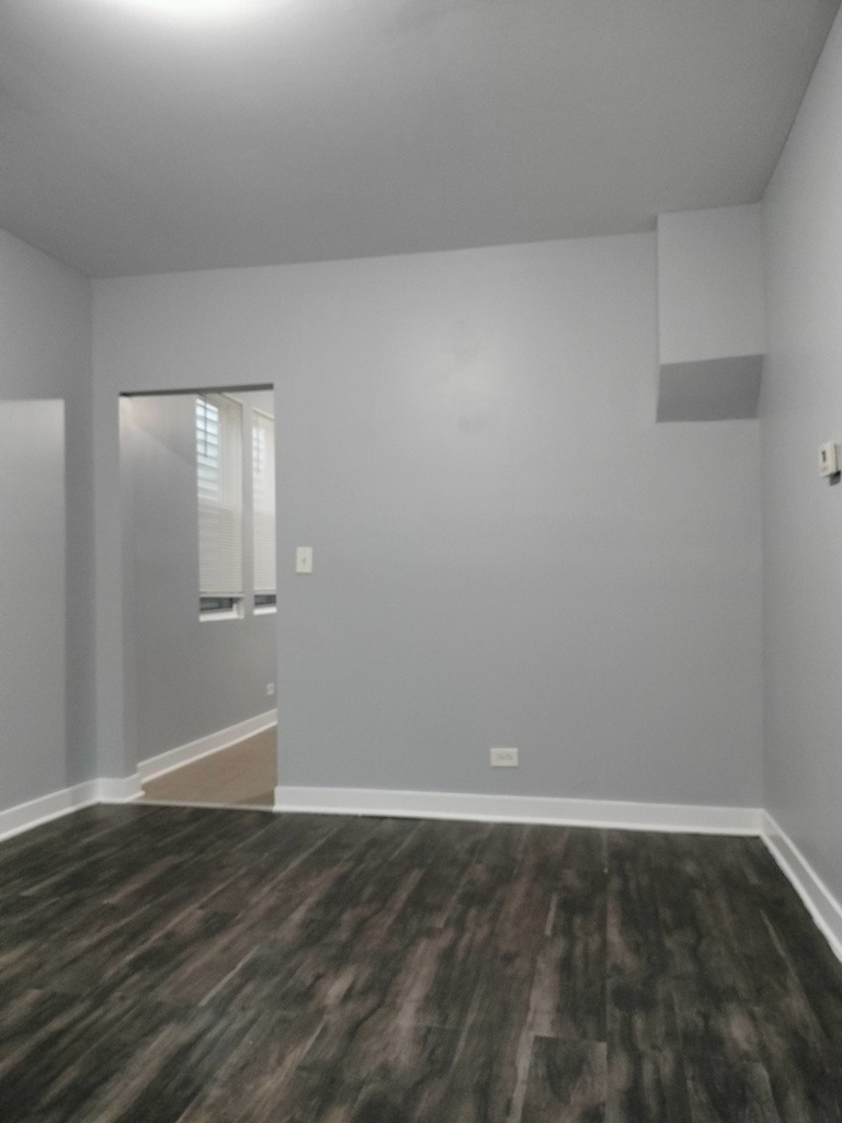 4802 S Winchester Avenue - Photo 8