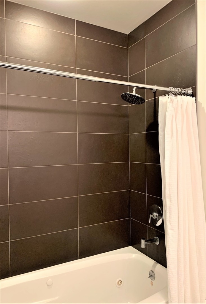 6 N Michigan Avenue - Photo 11