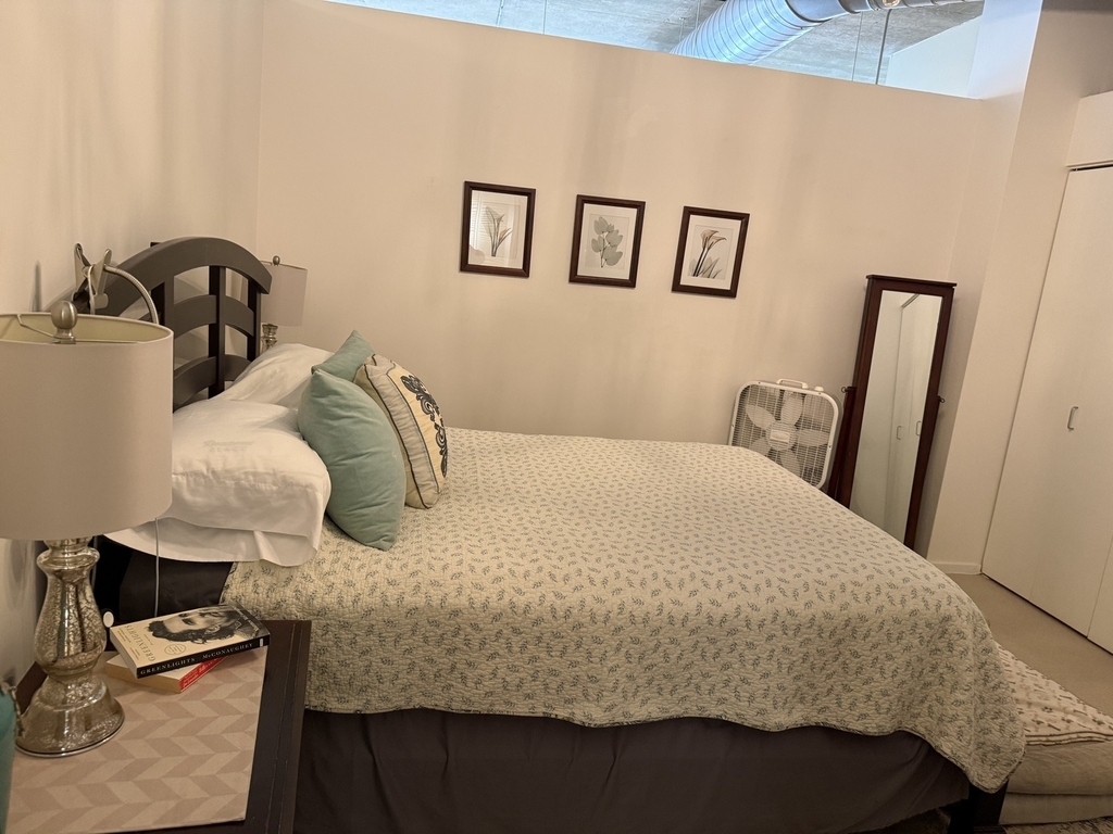 900 N Kingsbury Street - Photo 8