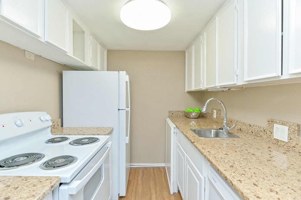 7520 Hornwood Drive - Photo 3