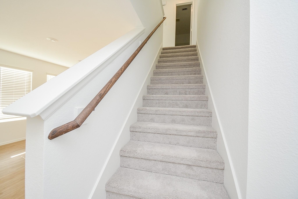 26811 Urraca Dr - Photo 12