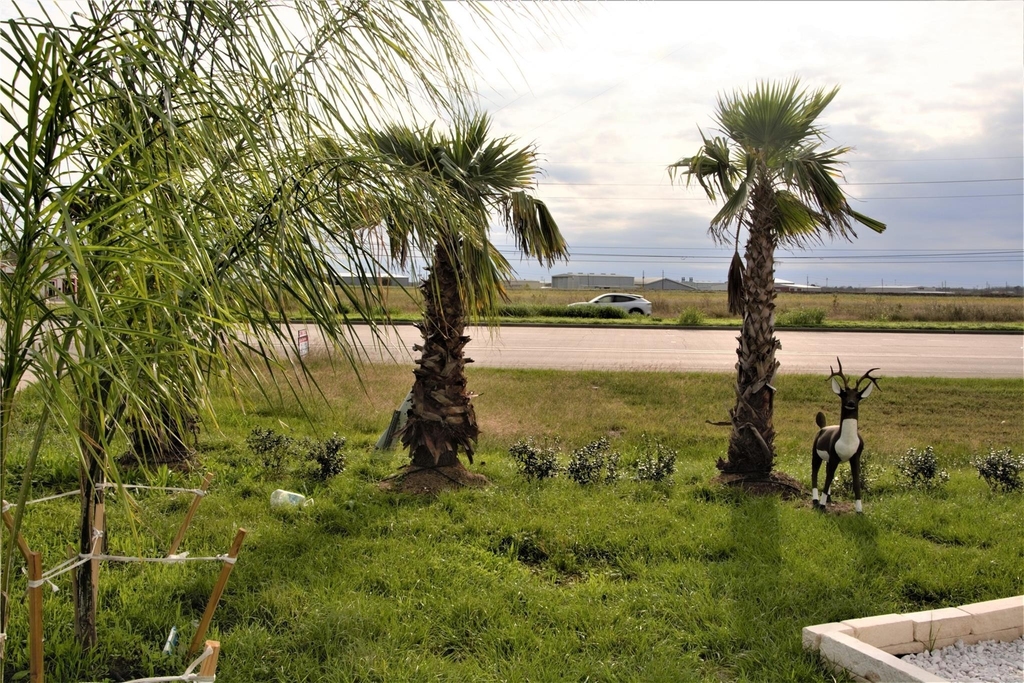 13115 Highway 6 - Photo 21