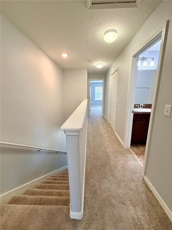 31150 Gossamer Way - Photo 5