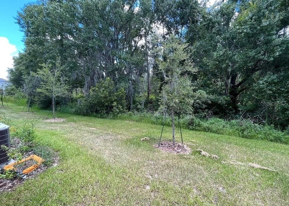 32867 Pez Landing Lane - Photo 32