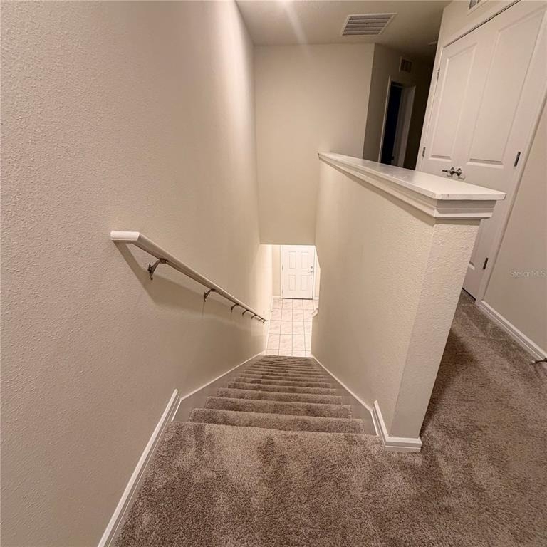 2762 Fetching Trail - Photo 10