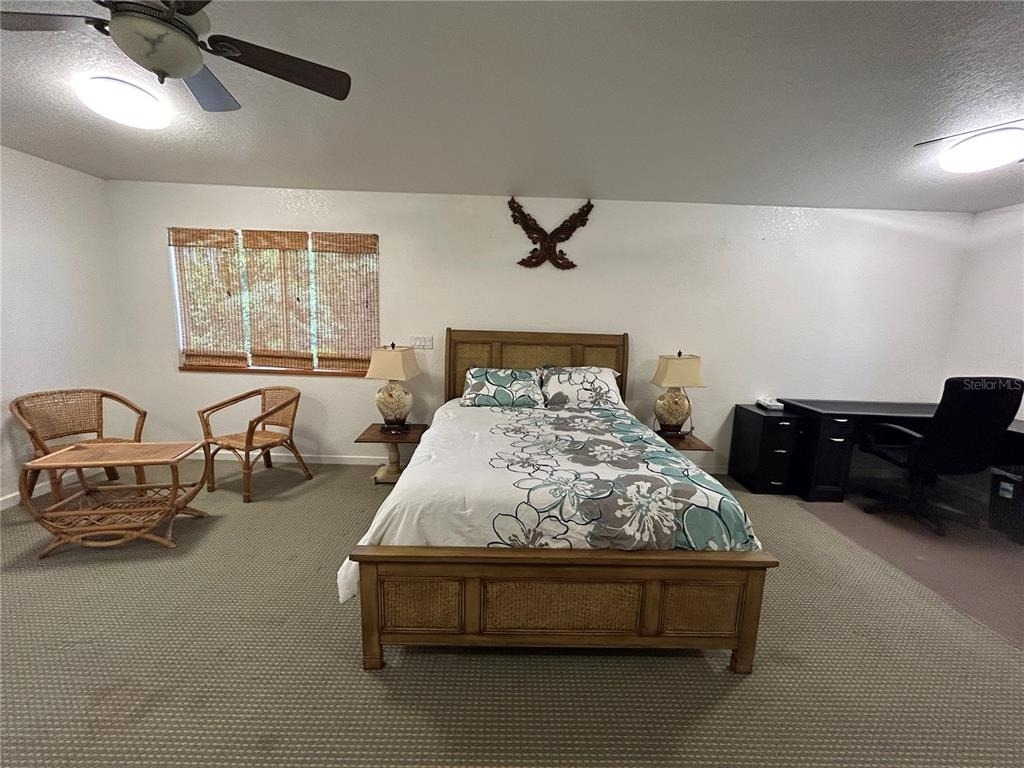 18620 Wayne Road - Photo 1