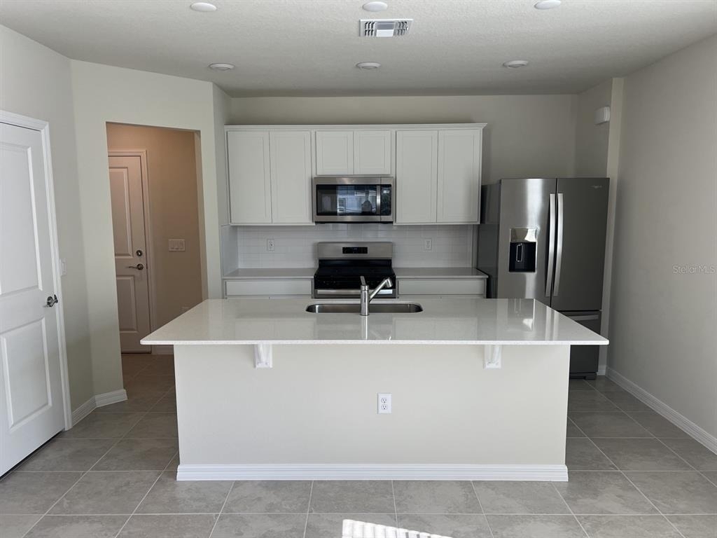 3355 Vine Leaf Street - Photo 4