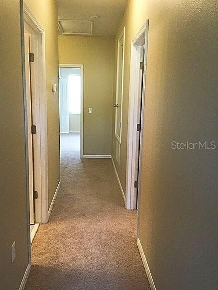 1652 Plumeria Place - Photo 15