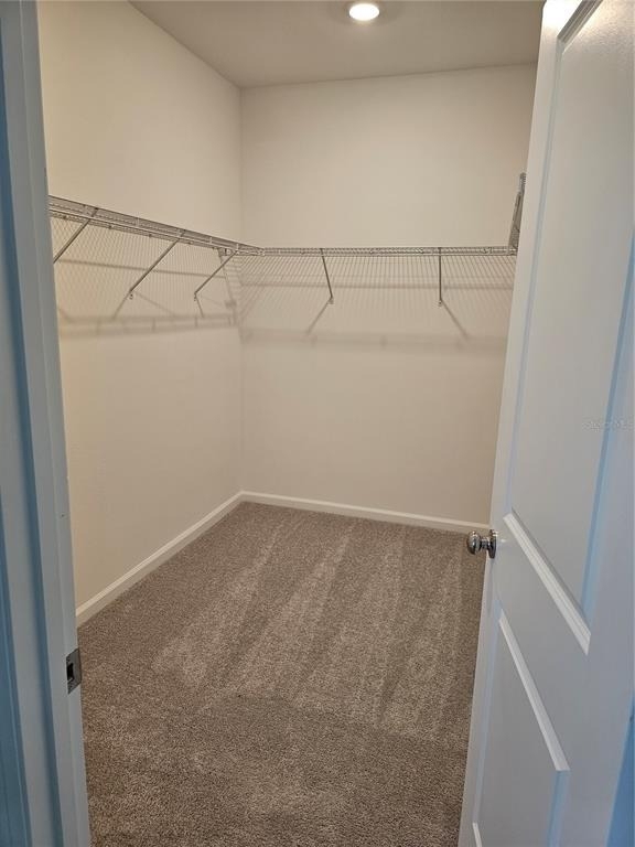 2144 Rider Rain Ln - Photo 18
