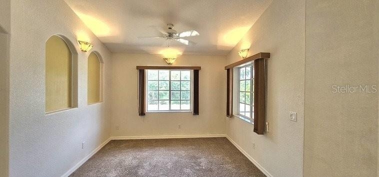 7105 N Blue Sage - Photo 14