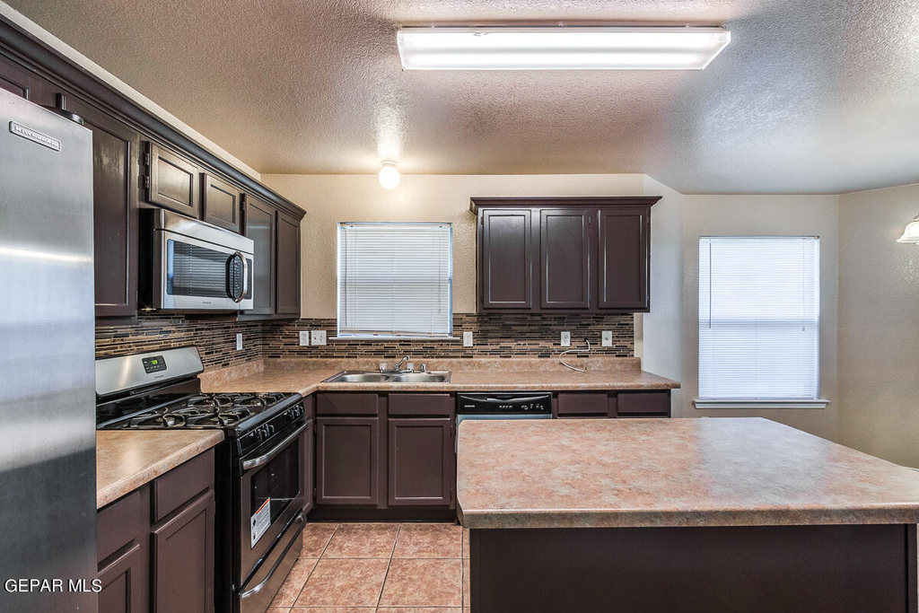 10932 Duster Drive - Photo 8