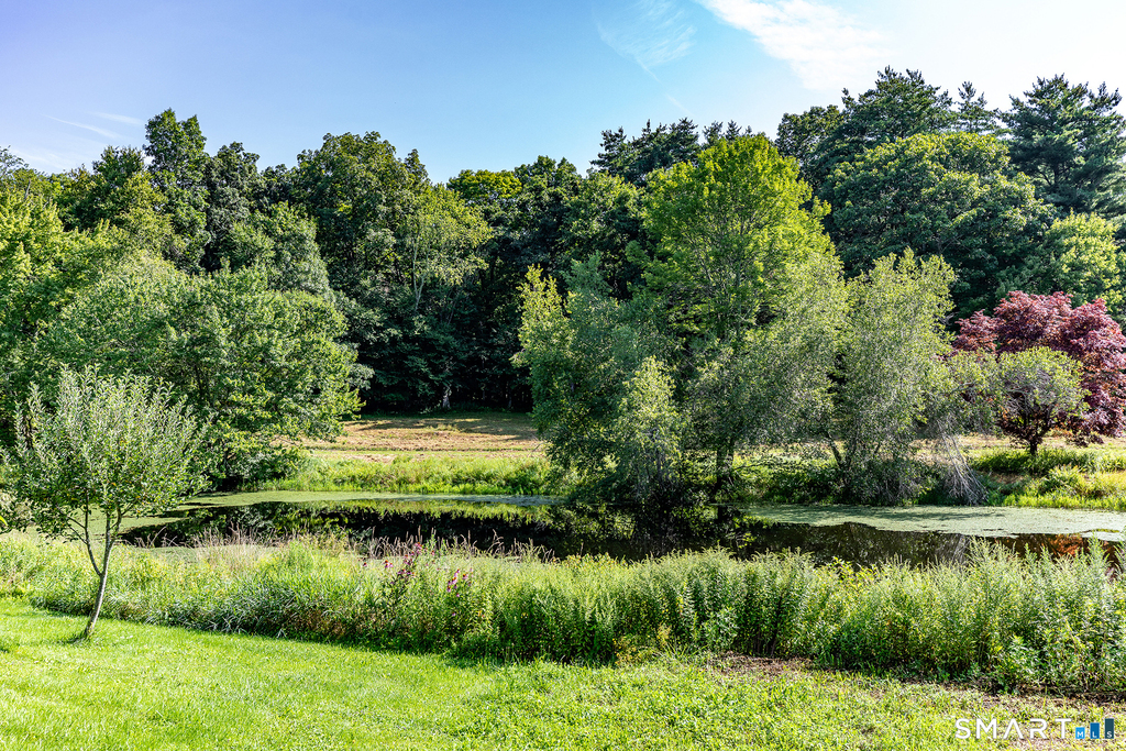 162 Wigwam Road - Photo 37