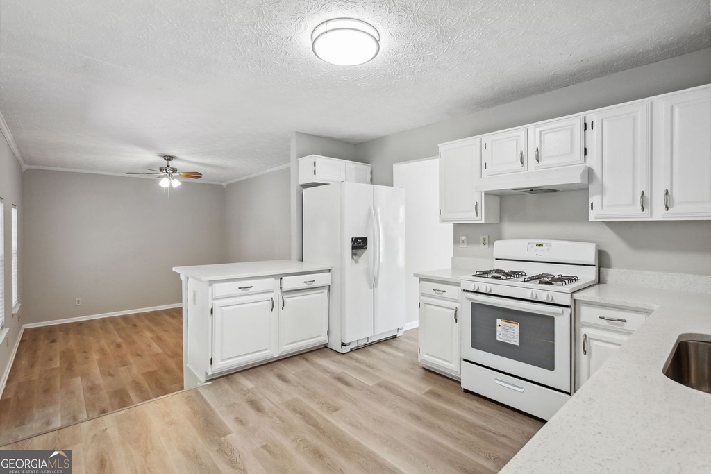 525 Abbotts Hill Lane - Photo 11