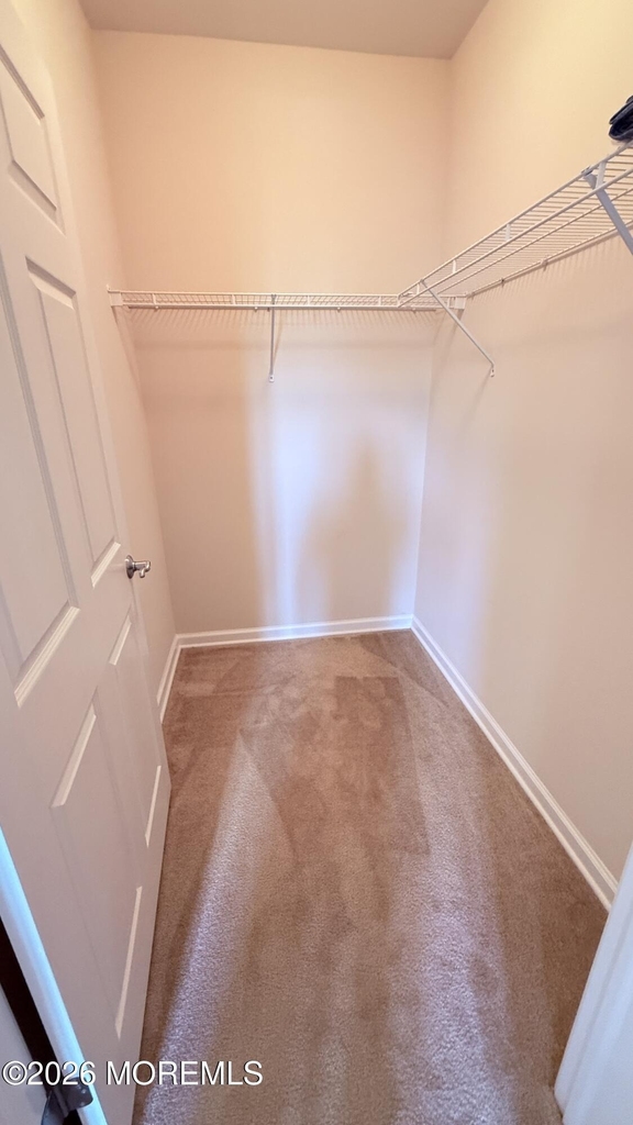 1133 Halifax Place - Photo 17