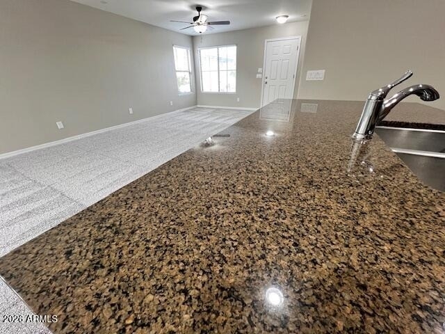 1223 W Desert Seasons Drive - Photo 10