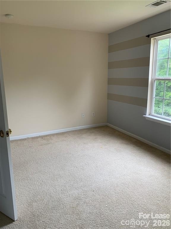 4621 Grier Farm Lane - Photo 5