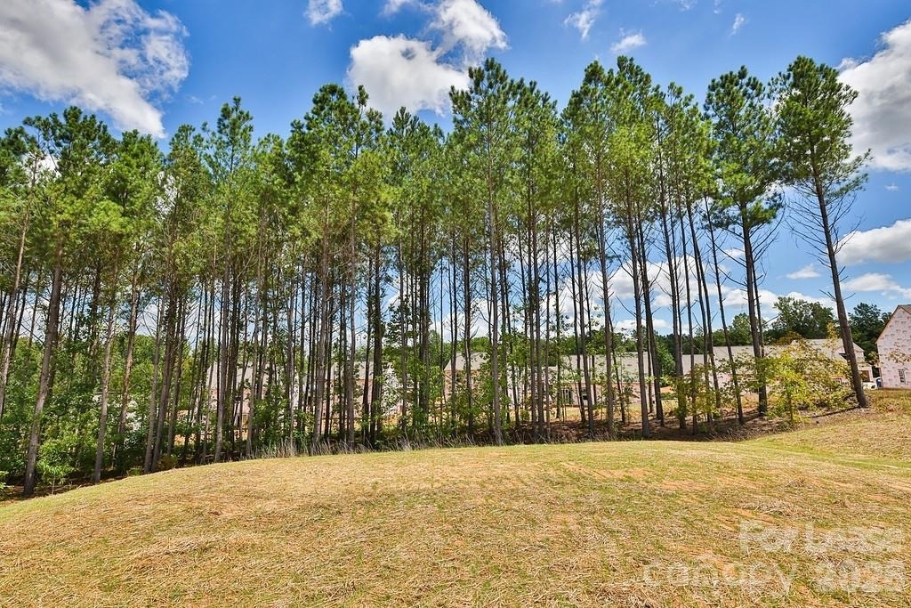 6136 Ahoskie Drive - Photo 4
