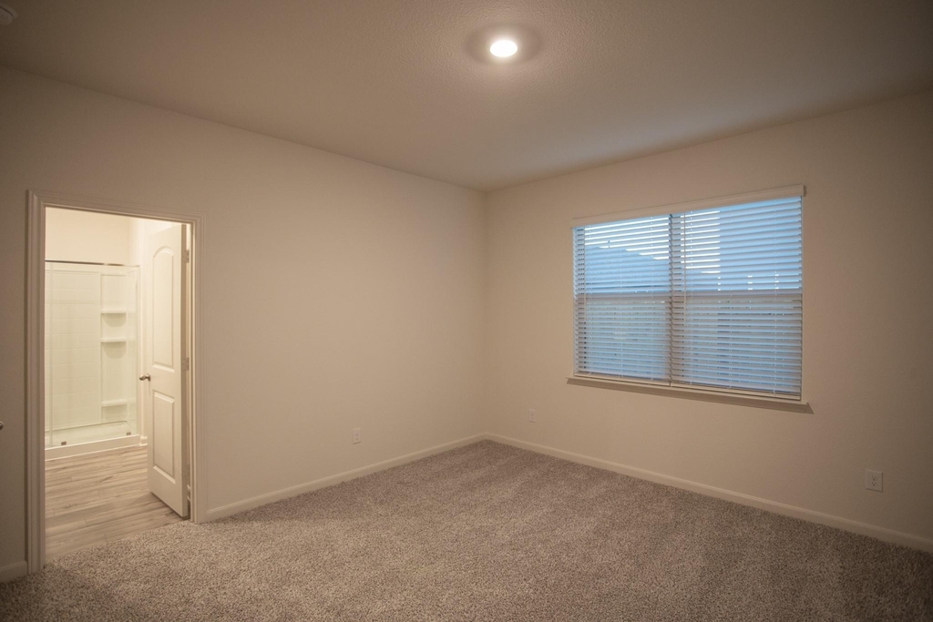 13808 Musselshell Drive - Photo 12