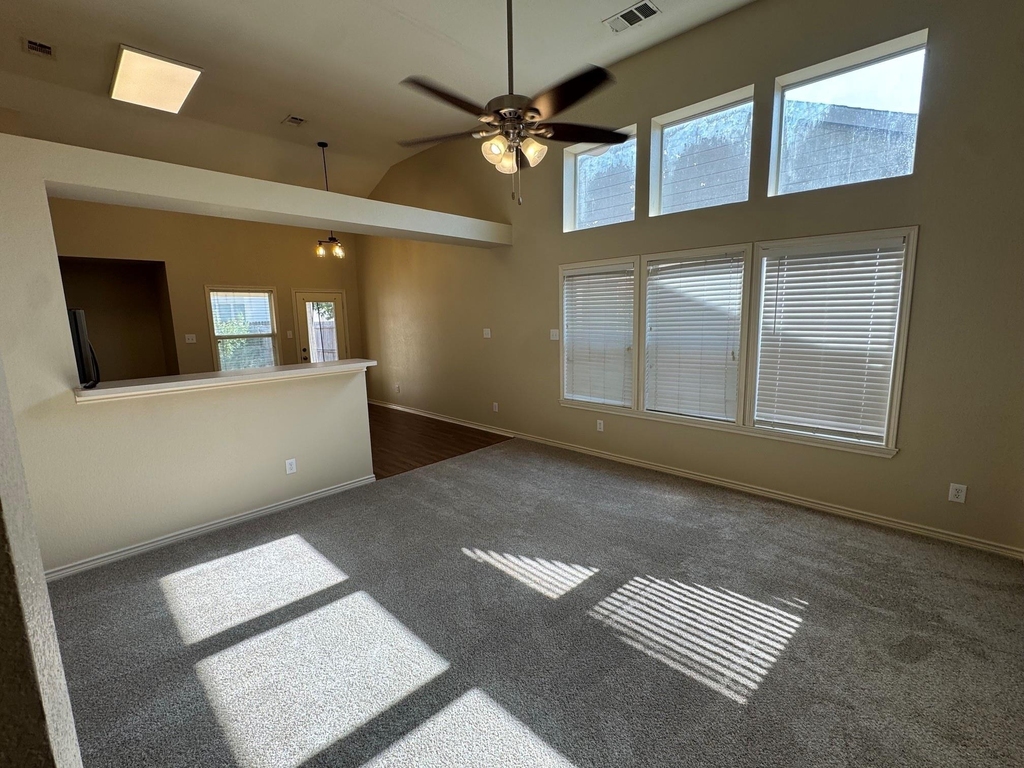 8831 Holliday Lane - Photo 4