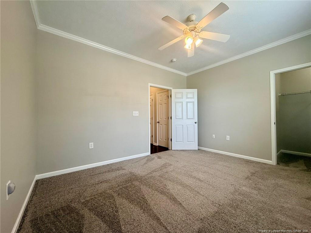 3109 Wisteria Lane - Photo 9