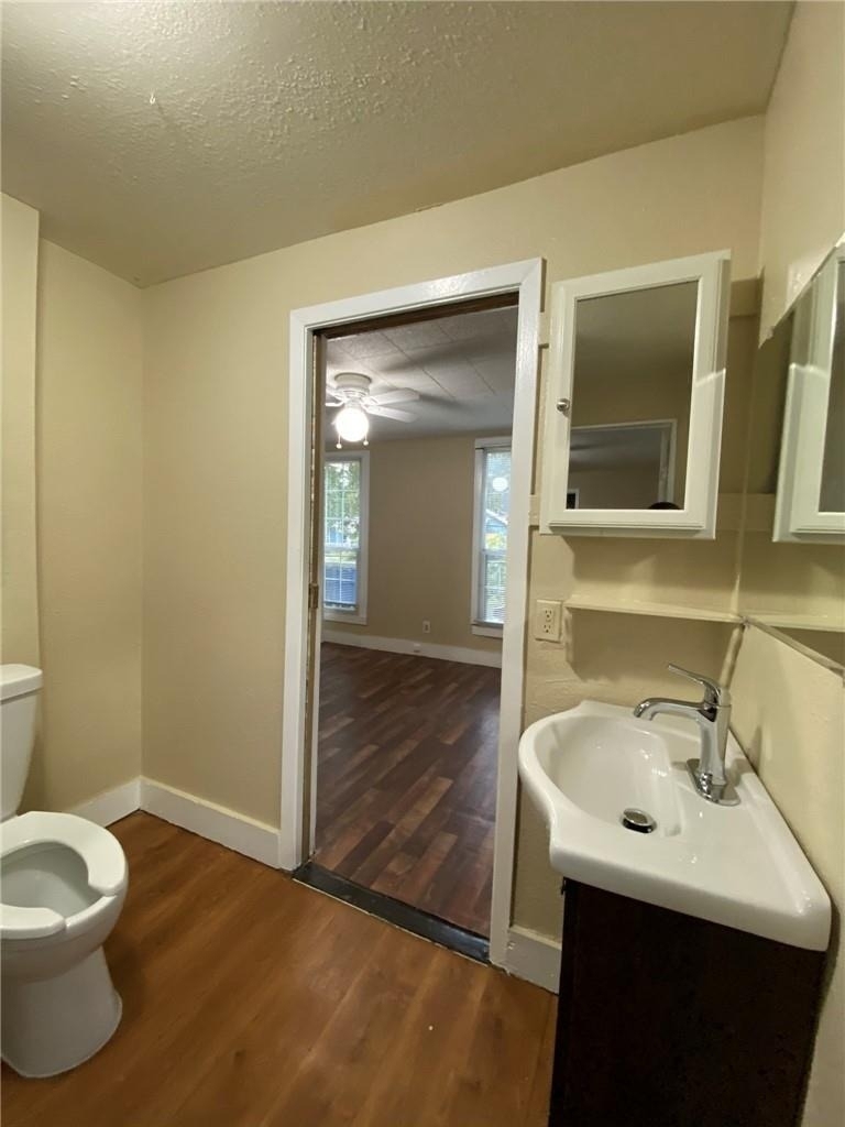 403 Pedernales St - Photo 16