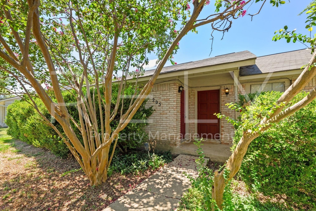 205 W William Cannon Dr - Photo 2