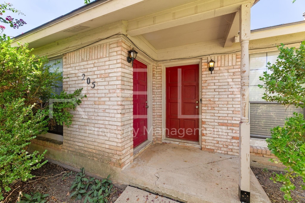 205 W William Cannon Dr - Photo 1