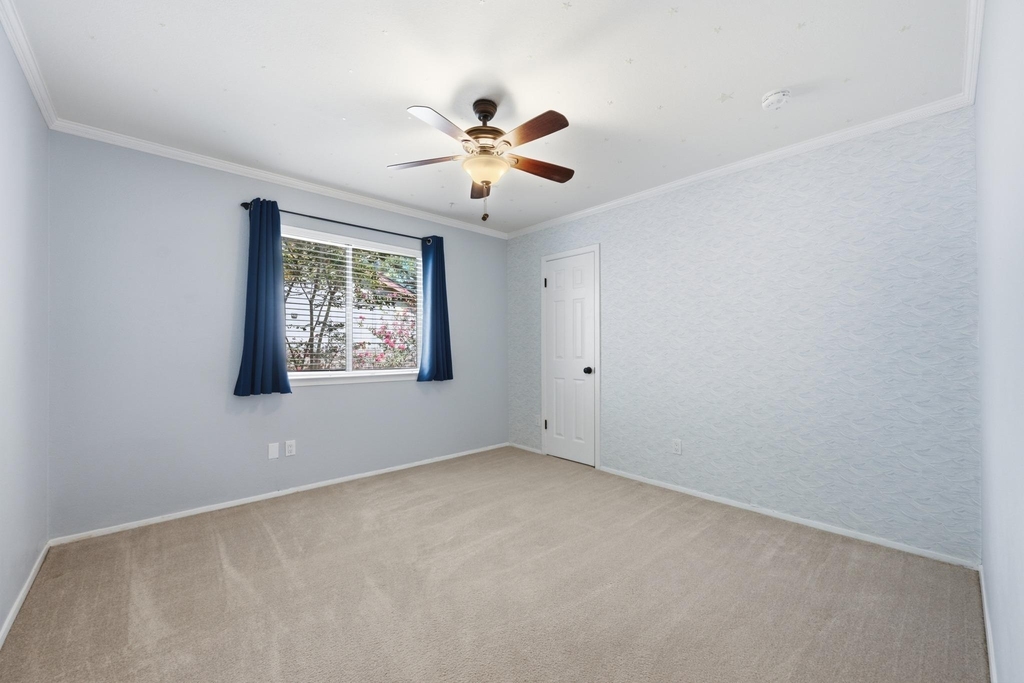 11826 Carshalton Dr - Photo 18