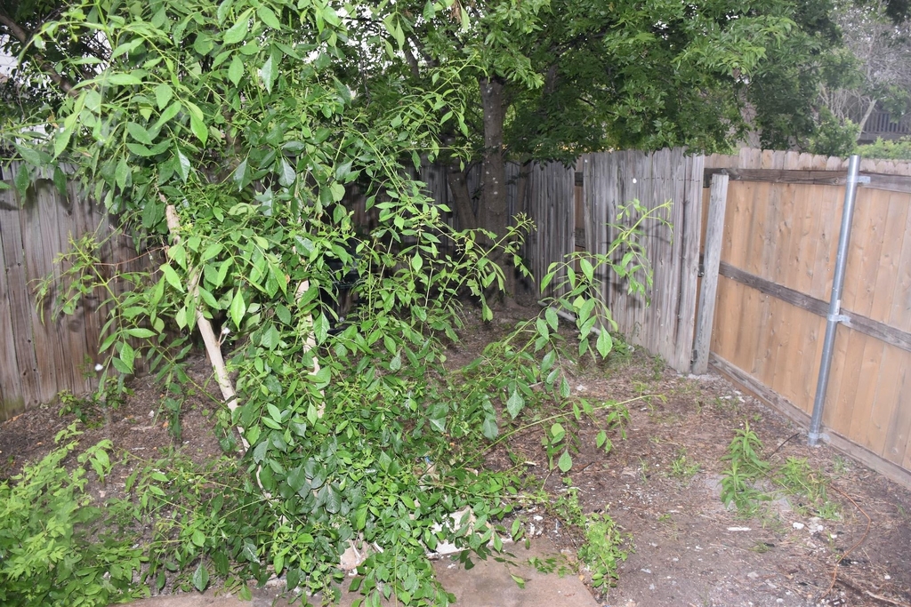 1814 Rawhide Loop - Photo 33