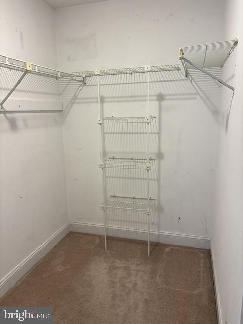 23 Pickwick Place - Photo 17