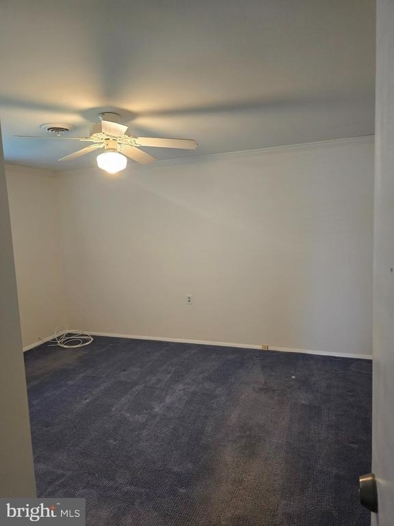 29 Marlborough Drive - Photo 6