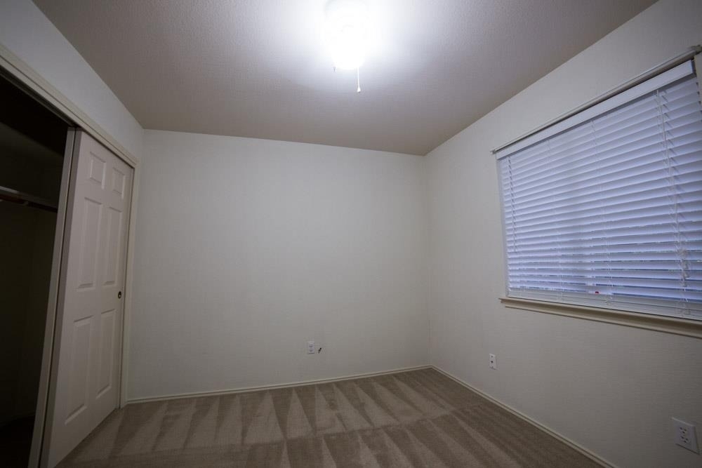 3109 Sauls Dr - Photo 14
