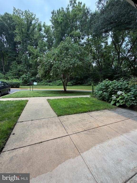 7572 Spring Lake Drive - Photo 12