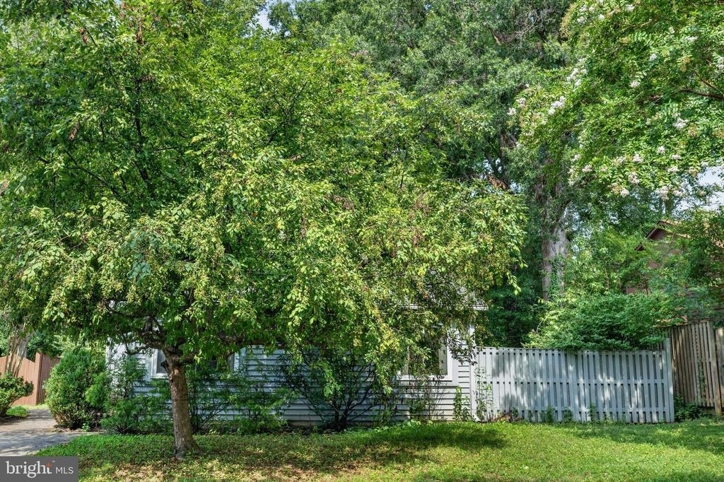 6 Youngs Farm Court - Photo 49
