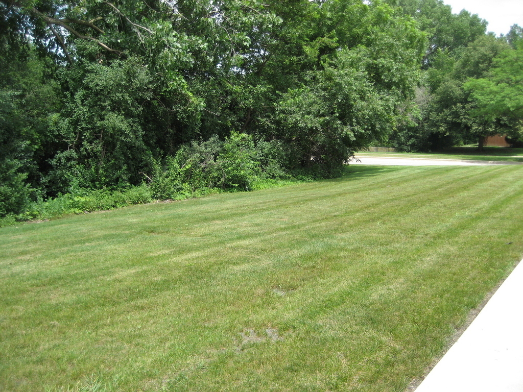 1980 Huntington Boulevard - Photo 6