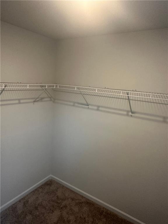 5344 Melbourne Lane - Photo 20