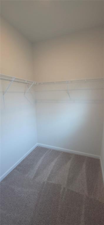 523 Grover Street - Photo 12