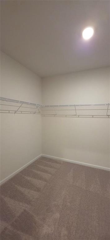523 Grover Street - Photo 8