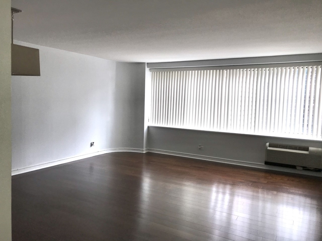 211 E Ohio Street - Photo 3