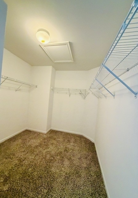2331 Wilson Creek Circle - Photo 10
